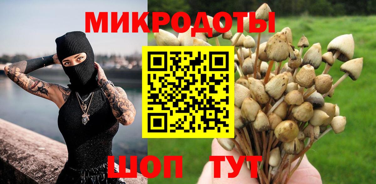 Псилоцибиновые грибы ЛСД  Вход с VPN  Галлюциногенные грибы Magic Shrooms  наркота  Карачаевск 
